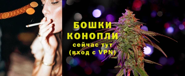 PSILOCYBIN Вязьма