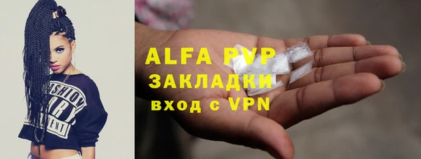 PSILOCYBIN Вязьма