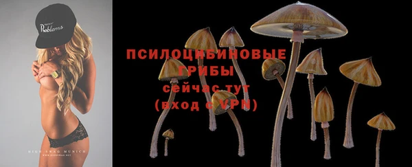 PSILOCYBIN Вязьма