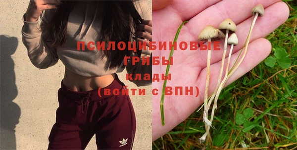 jwh Горняк