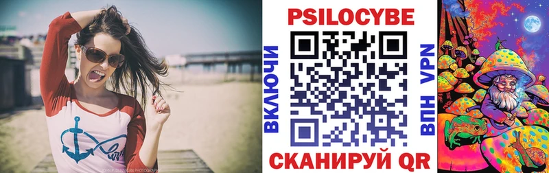 Купить закладки Кудрово Псилоцибиновые грибы ЛСД